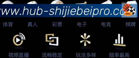 未来规划